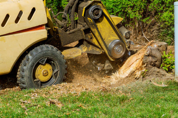 Landscape Design and Installation in New River, AZ